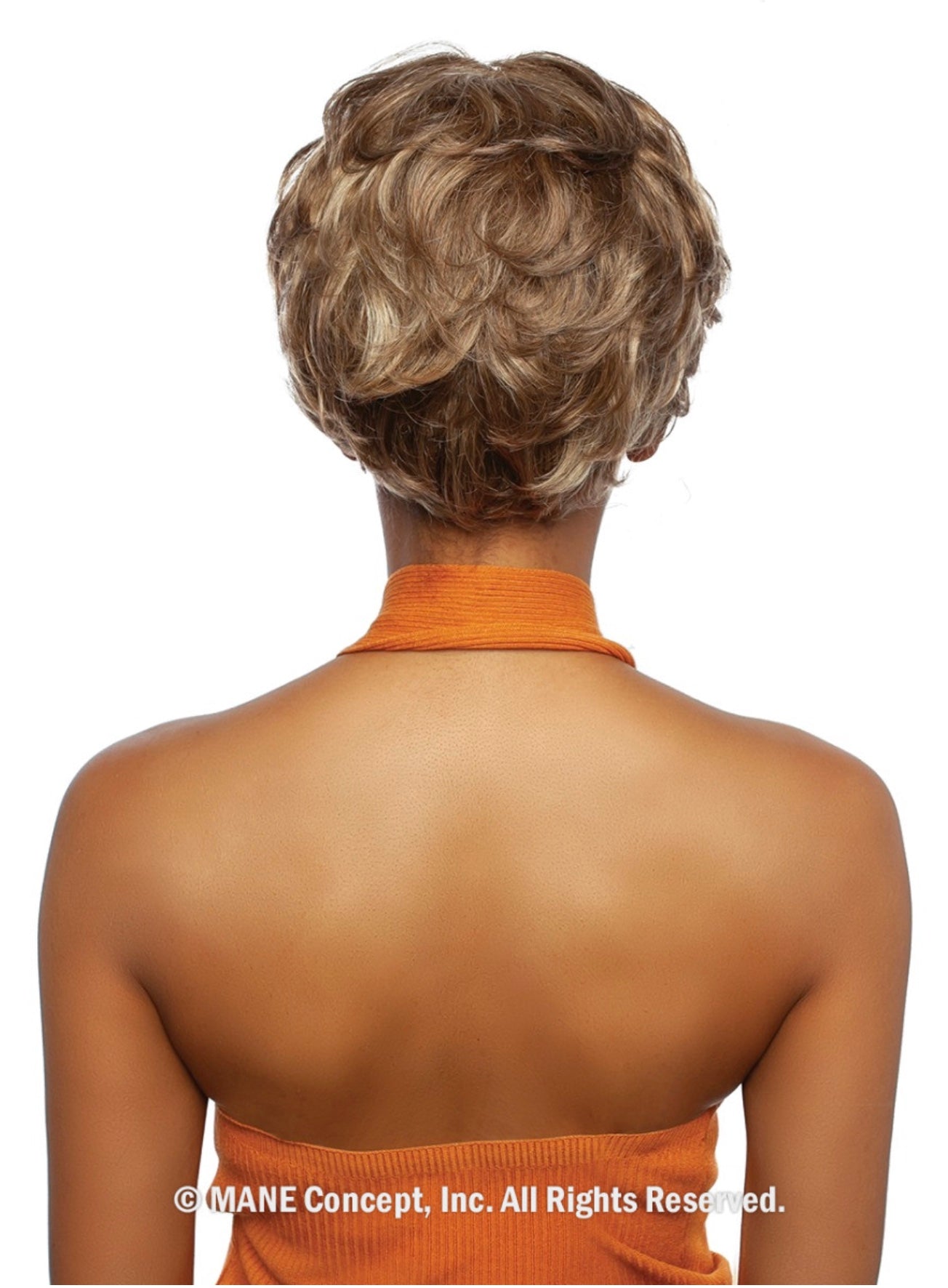 Back view of a person wearing the Trill Full Wig, a short, curly, voluminous mixed blonde-brown style.
