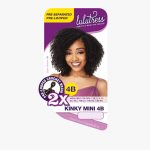 SB 2X 4B KINKY MINI (LULUTRESS)