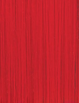 DASHLY WIG - UNIT 17