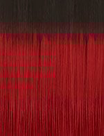 DASHLY WIG - UNIT 13