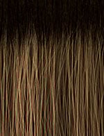 V-PART WIG V-UNIT 8 (CK&CO)