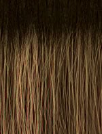 BUTTA PRE-CUT LACE WIG - UNIT 6