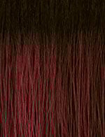 BUTTA PRE-CUT LACE WIG - UNIT 6