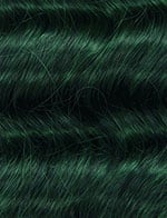 HH WVG 27PCS (EMPIRE)