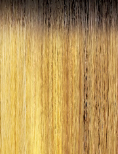 LACE FRONT WIG - NEESHA SOFT & NATURAL - NEESHA 206