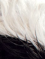 HH BUMP WIG MOD MOHAWK - Hair Depot