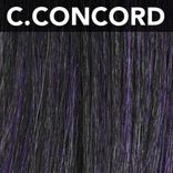 Synthetic Lace Wigs TOPS C BELLA