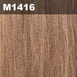 Pony Tails STB GATOW