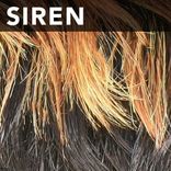 Synthetic Wigs AUSTIN