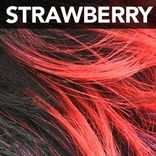 Synthetic Wigs B PONY