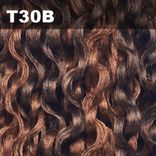 Synthetic Wigs OPRAH 2